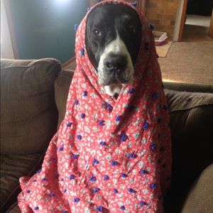 Meet your Posher, Jenny